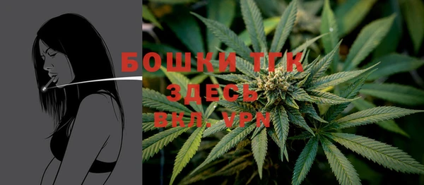 ПСИЛОЦИБИНОВЫЕ ГРИБЫ Ельня
