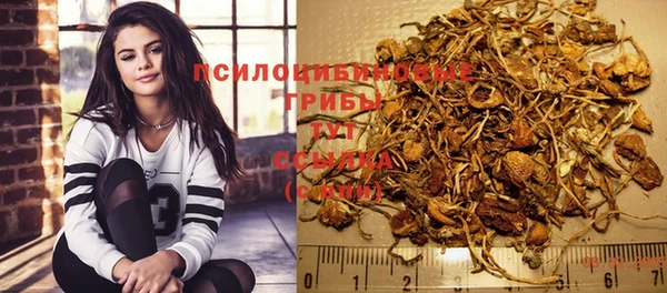 ПСИЛОЦИБИНОВЫЕ ГРИБЫ Ельня