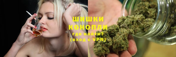ПСИЛОЦИБИНОВЫЕ ГРИБЫ Ельня