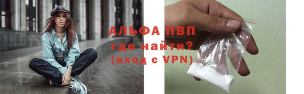 гашик Елизово