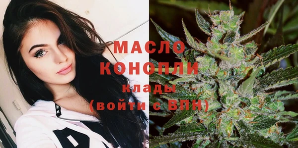 гашик Елизово