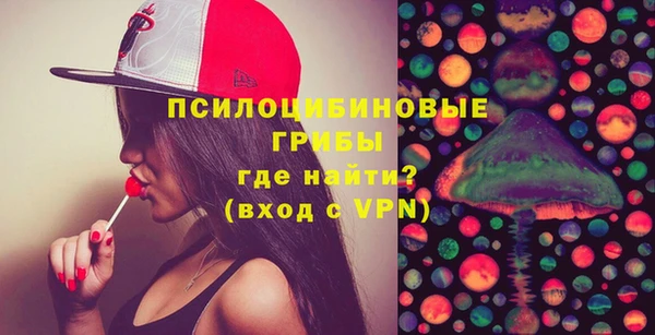ПСИЛОЦИБИНОВЫЕ ГРИБЫ Ельня